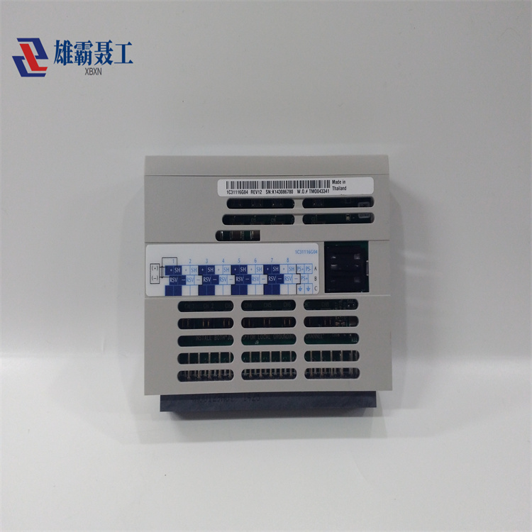 1C31116G04 EMERSON DCS备件 自动化工控模块