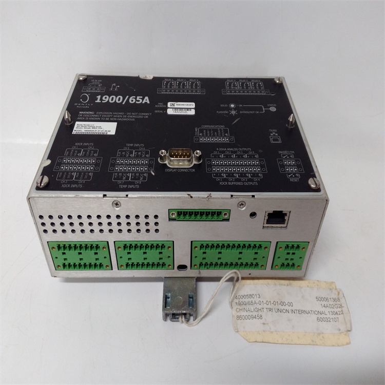 BENTLY 1900/65A-01-01-01-00-00 输入输出模块