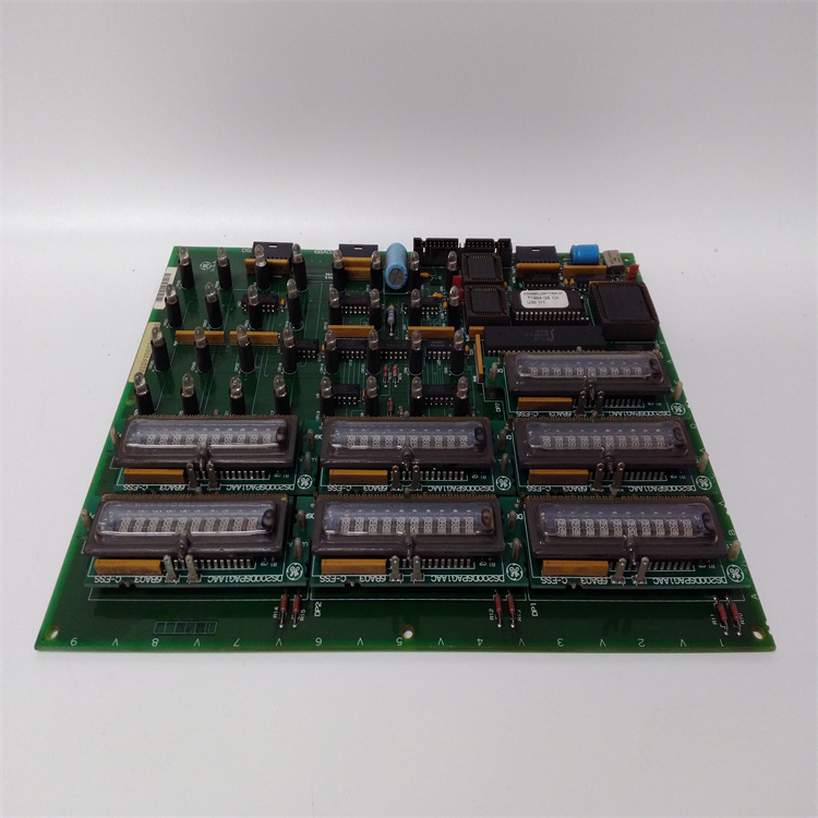 DS215KLDBG1AZZ03A  输入输出模块