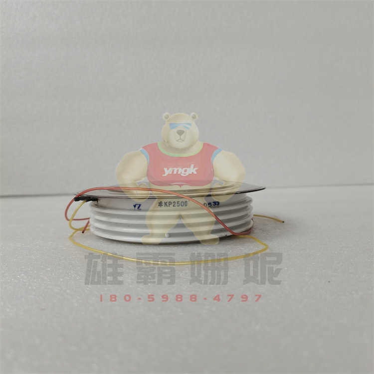 ABB KP2500 可控硅 晶闸管 工控数控专业自动化备件