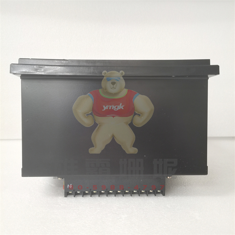 GE F650BABF2G0LOSHE  模拟量输出模块 工控数控专业自动化备件