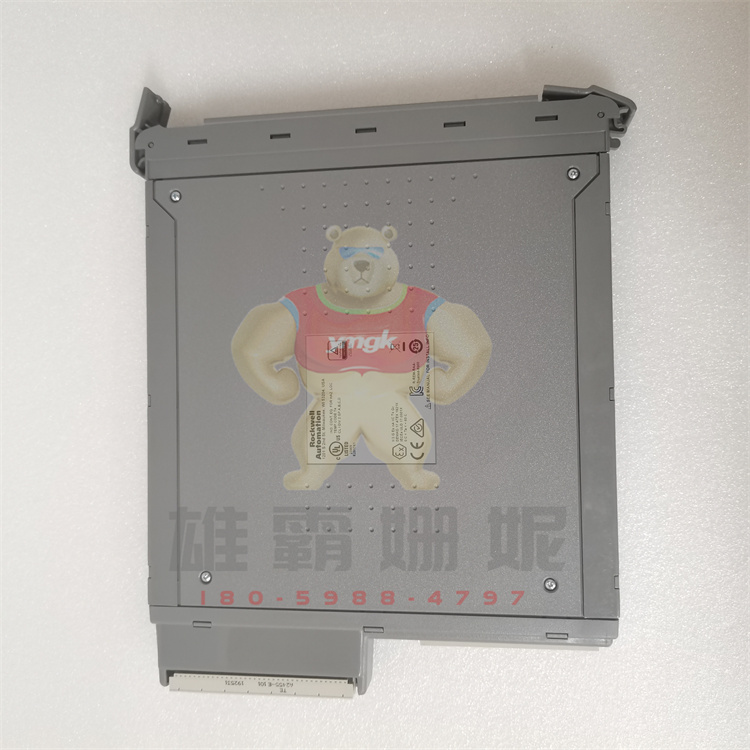 ICS TRIPLEX T8461C  工控数控专业自动化备件