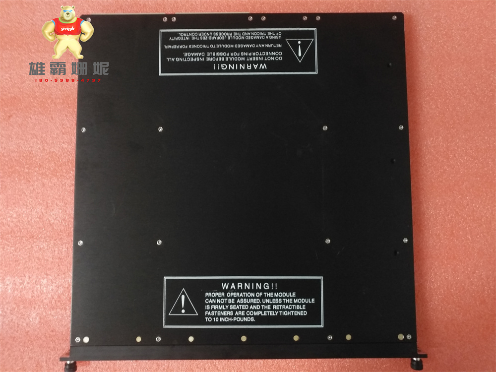 Triconex DCS 3451 康吉森 通信模块 原厂原装 进口品牌