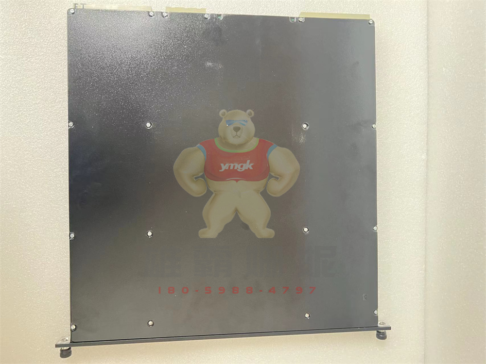 Triconex DCS 4119 康吉森  通信模块    原厂原装 进口品牌