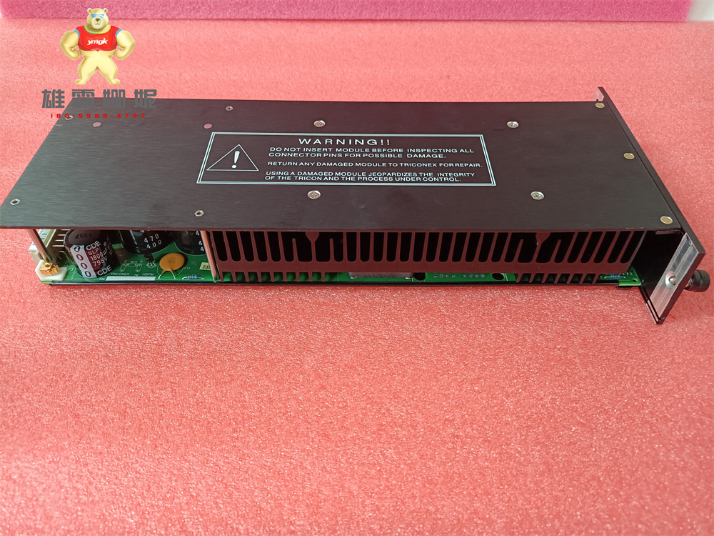 Triconex DCS DO6603 康吉森 黑色模块卡件 高速输入模块