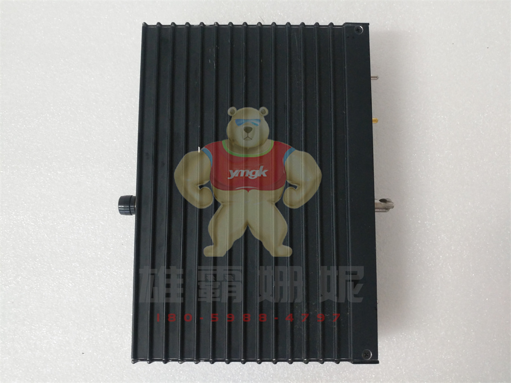 Triconex 3604E 康吉森  黑色模块 数字输出模块