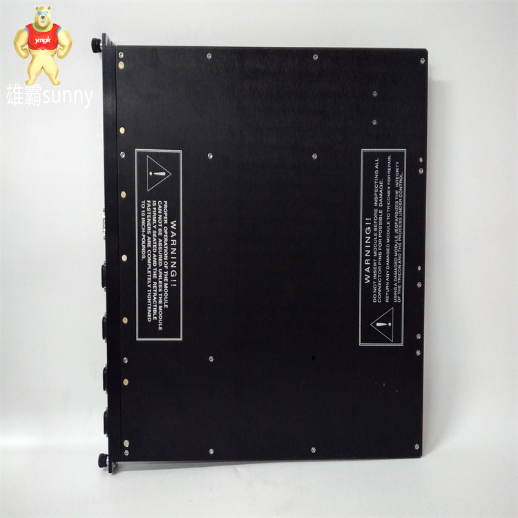 Triconex 9566-810 康吉森黑色模块 容错电路板