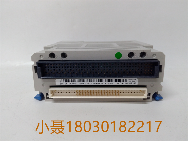 1C31179G02 WESTINGHOUSE 远程输入/输出模块 Mau ovation系列