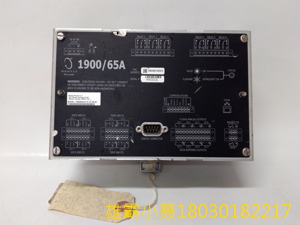 本特利内华达 1900/65A 通用设备监视器