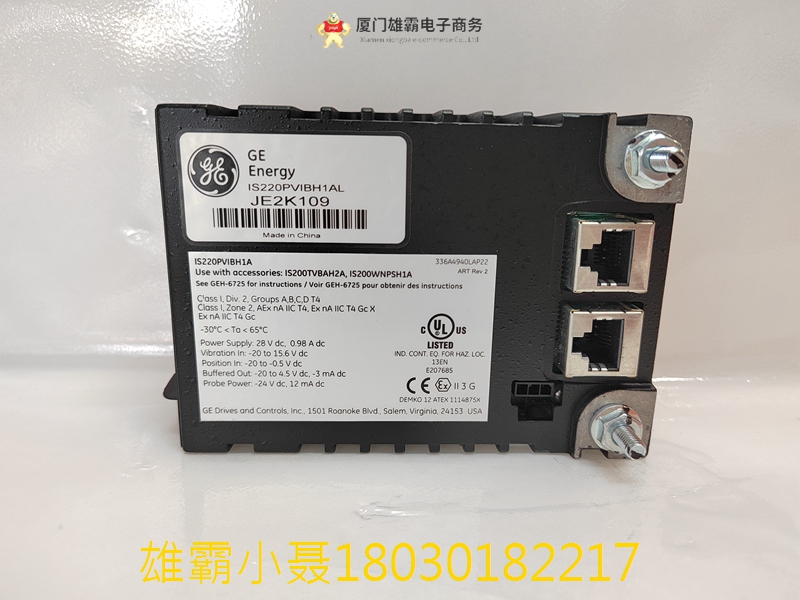 GE IS220PVIBH1A 336A4940CSP16 MKVIe,振动 I/O 包,BPPB