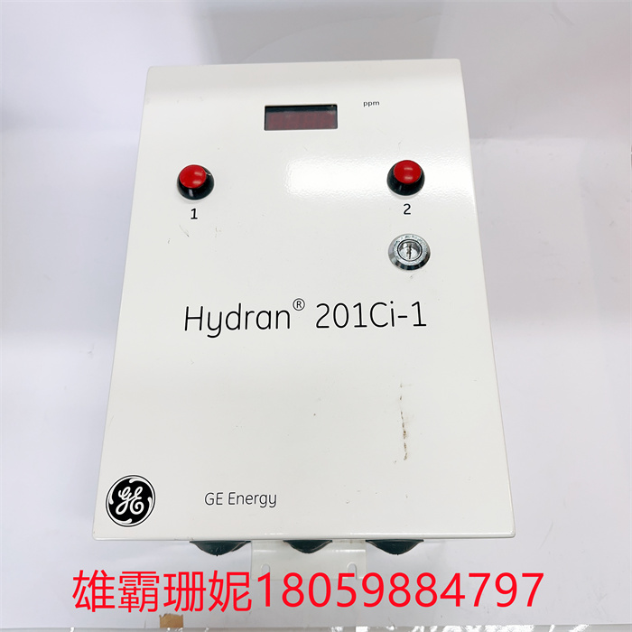 GE H201CI-1 在线检测仪