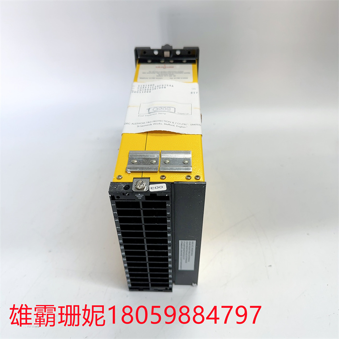 GEC ALSTHOM MVAX31C1DF0754A  通讯输出接口组件 诚信交易