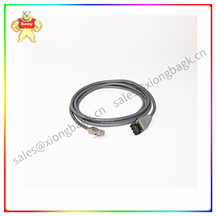 1747-C10 输入模块 处理器