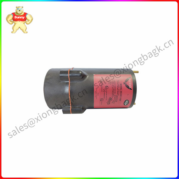 85UVF1-1QD FIREYE 火焰探测器