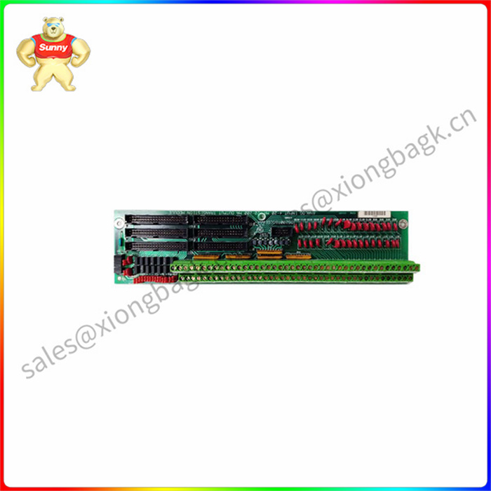 DS200TBQCG1AAA 模拟输入毫安输入/输出 （I/O） 终端模块