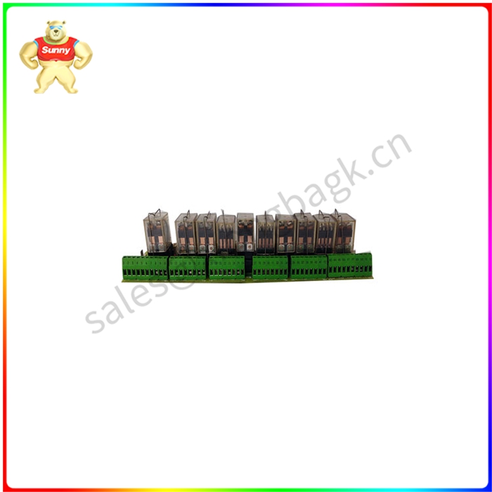 DS200RTBAG2AFB 继电器端子板 PLC应用微电子技术