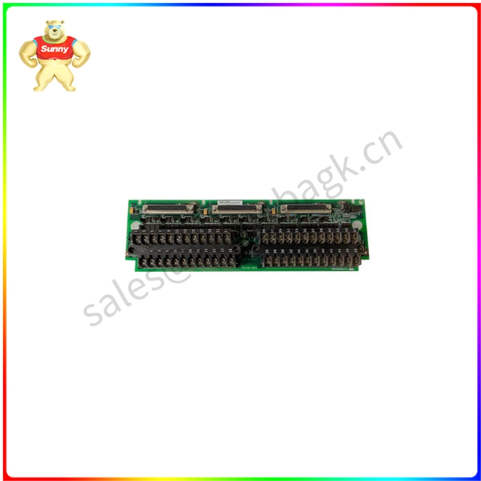 IS200TBAIH1CCC 微处理器扩展板 用于从各种传感器和设备中采集数据