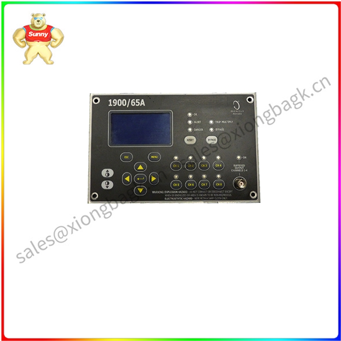 1900/65A-00-00-01-00-01 振动监测器